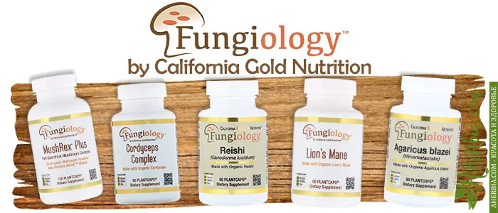 cgn-fungiology-mushrooms