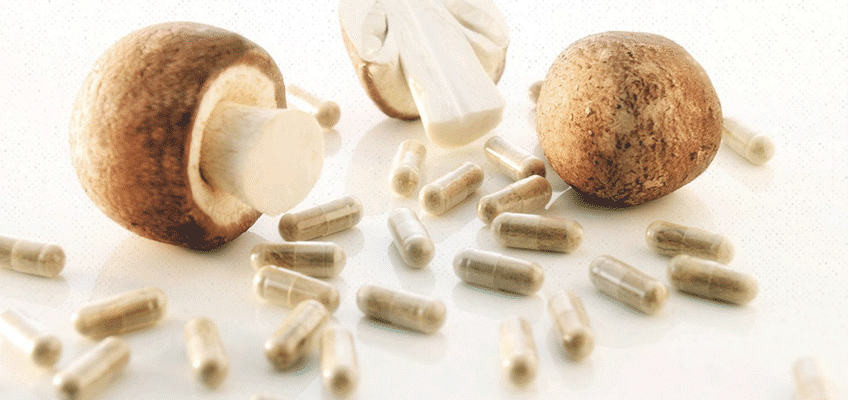 бета-глюканы лечебные грибы