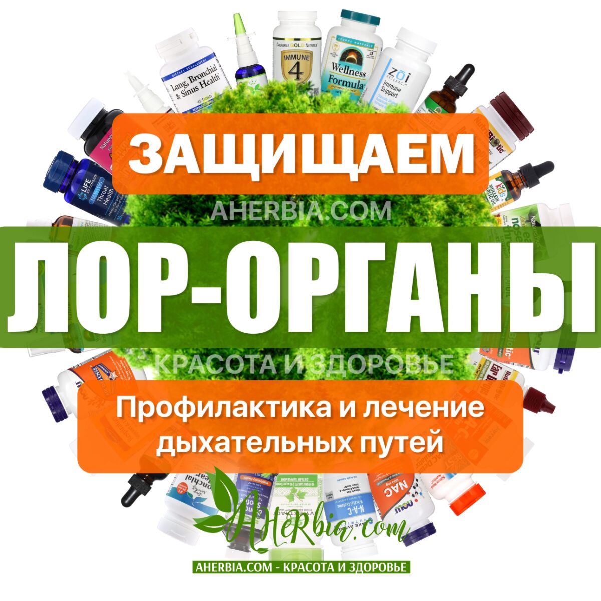 здоровье лор органов с iherb Ахёрбия