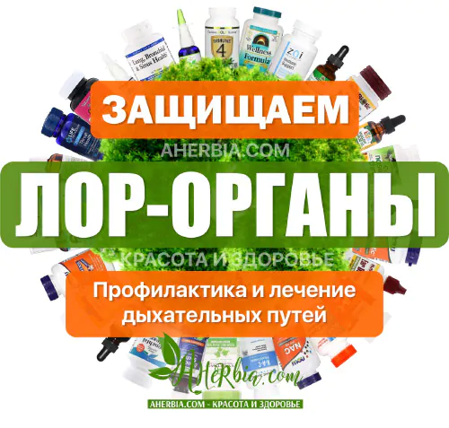 здоровье лор органов с iherb Ахёрбия